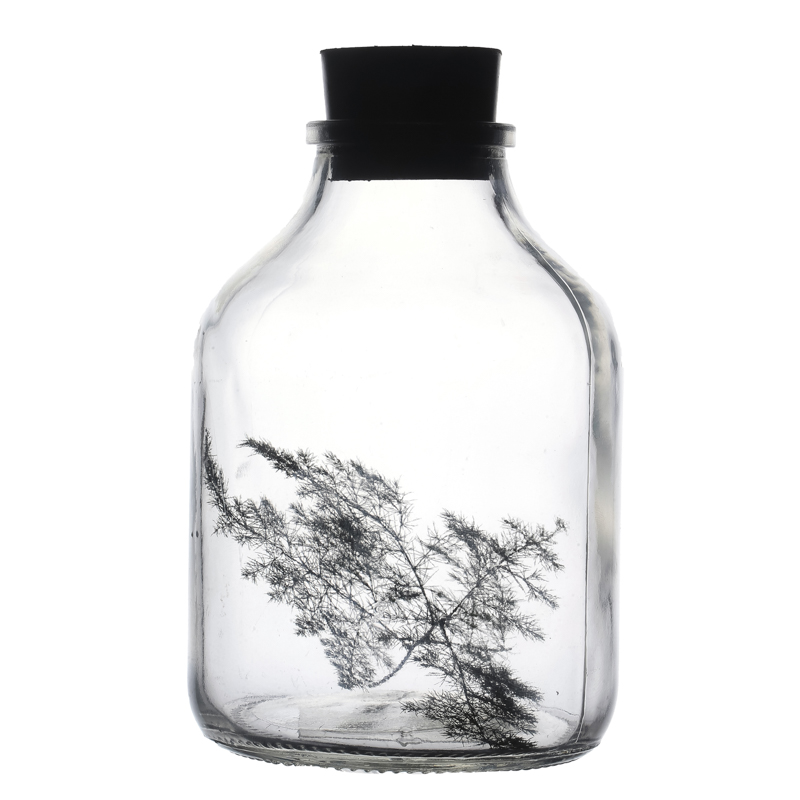 Botella de amperios de vidrio transparente de 650 ml para semillas de flores de planta verde 